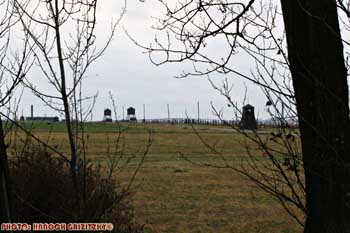 IMG_ (10773)